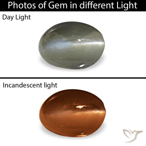 0.54カラットの天然ミディアムグリーンCat's Eye Alexandrite（5.3×3.9 mm・オーバルカット）
