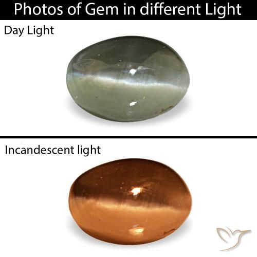 0.49カラットの天然ミディアムグリーンCat's Eye Alexandrite（4.9×3.4 mm・オーバルカット）