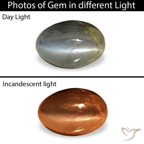 0.52ct グリーン Cat's Eye Alexandrite, 楕円形, オペーク