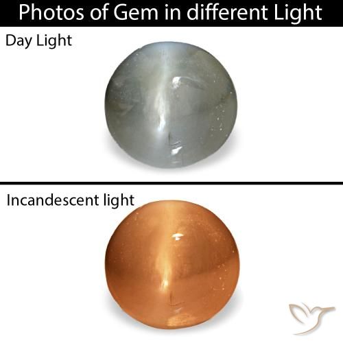 0.51カラットの天然濃い灰色Cat's Eye Alexandrite（4.6×4.4 mm・オーバルカット）