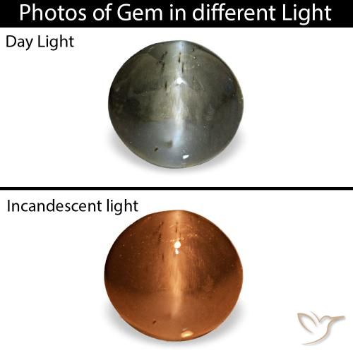 0.47カラットの天然濃い灰色Cat's Eye Alexandrite（4.7×4.4 mm・オーバルカット）