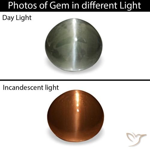 0.42カラットの天然濃い灰色Cat's Eye Alexandrite（4.6×4.3 mm・オーバルカット）