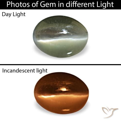 0.42カラットの天然スチールグレーCat's Eye Alexandrite（5.2×3.9 mm・オーバルカット）