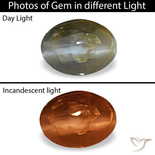 0.48カラットの天然スチールグレーCat's Eye Alexandrite（5.6×4.2 mm・オーバルカット）