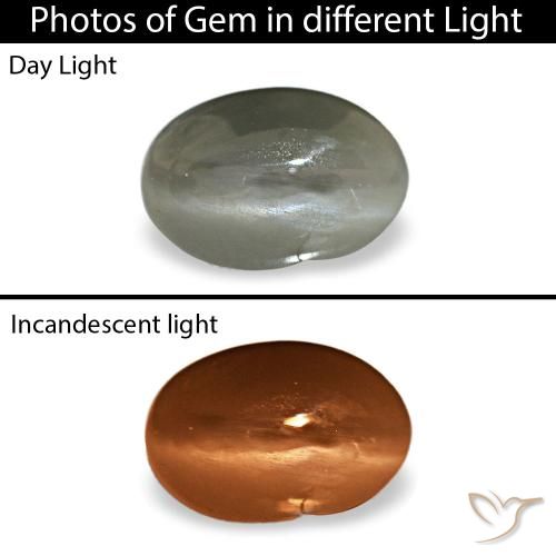 0.35カラットの天然ミディアムグレーCat's Eye Alexandrite（5.2×3.5 mm・オーバルカット）