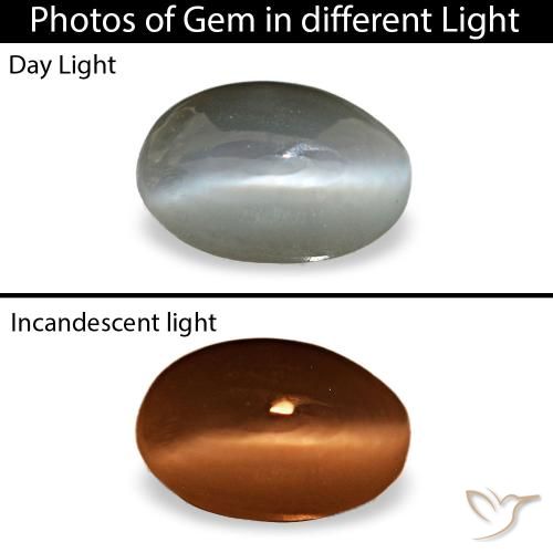 0.33ct グレー Cat's Eye Alexandrite, 楕円形, オペーク