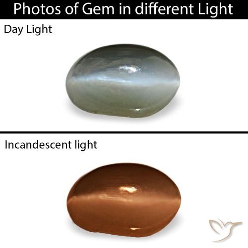 0.40カラットの天然ミディアムグレーCat's Eye Alexandrite（4.6×3.1 mm・オーバルカット）