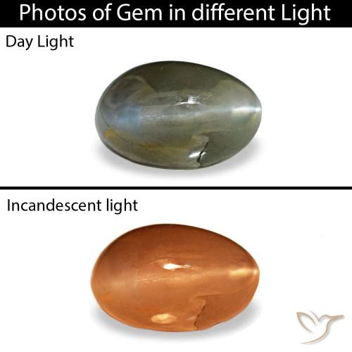 0.46カラットの天然濃い灰色Cat's Eye Alexandrite（5.3×3.3 mm・オーバルカット）