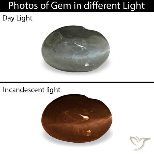 0.41ct グレー Cat's Eye Alexandrite, 楕円形, オペーク