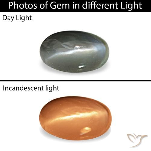 0.43ct グレー Cat's Eye Alexandrite, 楕円形, オペーク