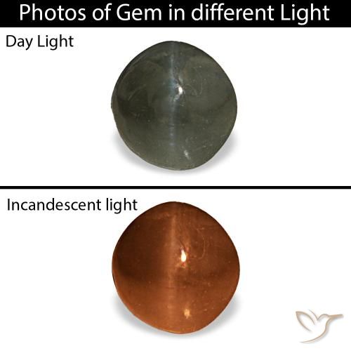 0.66カラットの天然緑がかった灰色Cat's Eye Alexandrite（4.86 mm・ラウンドカット）