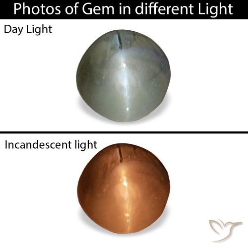 0.85カラットの天然ミディアムグレーCat's Eye Alexandrite（5.08 mm・ラウンドカット）