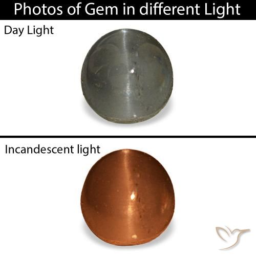 0.80カラットの天然濃い灰色Cat's Eye Alexandrite（4.9×4.7 mm・オーバルカット）