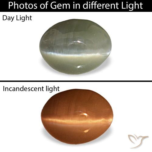 0.44カラットの天然灰色がかった黒Cat's Eye Alexandrite（5.1×3.9 mm・オーバルカット）