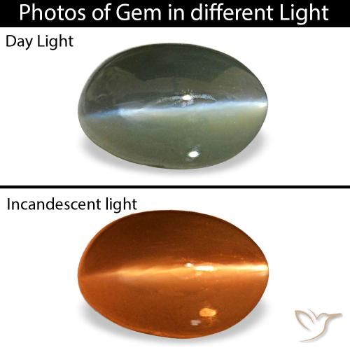 0.50カラットの天然ミディアムグレーCat's Eye Alexandrite（5.3×3.5 mm・オーバルカット）