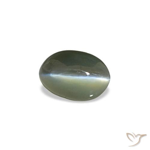 0.50カラットの天然ミディアムグレーCat's Eye Alexandrite（5.3×3.5 mm・オーバルカット）