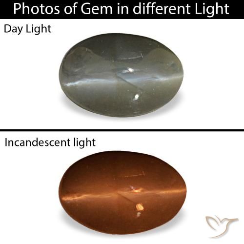 0.47ct グレー Cat's Eye Alexandrite, 楕円形, オペーク