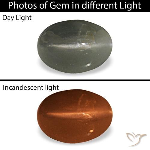 0.47ct グレー Cat's Eye Alexandrite, 楕円形, オペーク