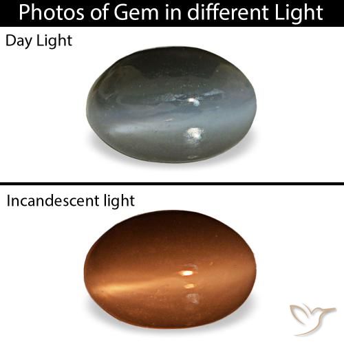 0.50カラットの天然ミディアムグレーCat's Eye Alexandrite（5.2×3.5 mm・オーバルカット）
