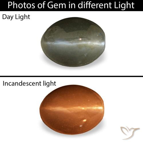 0.45ct グレー Cat's Eye Alexandrite, 楕円形, オペーク