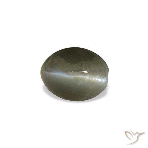 0.45カラットの天然ミディアムグレーCat's Eye Alexandrite（5×3.9 mm・オーバルカット）