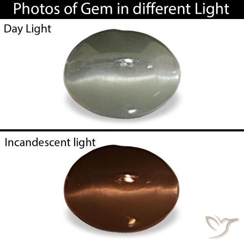 1.03ct グレー Cat's Eye Alexandrite, 楕円形, オペーク