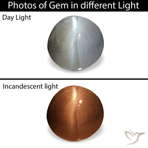 0.88カラットの天然ミディアムグレーCat's Eye Alexandrite（5.5×5.4 mm・オーバルカット）