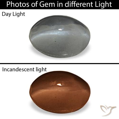 1.03カラットの天然ミディアムグレーCat's Eye Alexandrite（6.3×4.3 mm・オーバルカット）