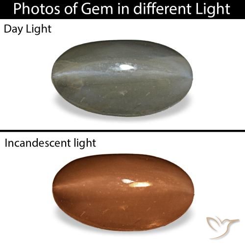 1.01カラットの天然ミディアムグレーCat's Eye Alexandrite（7.8×4.3 mm・オーバルカット）