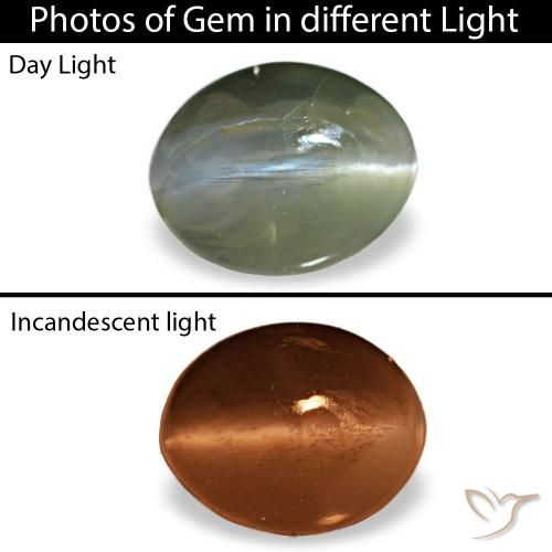 0.64ct グレー Cat's Eye Alexandrite, 楕円形, オペーク