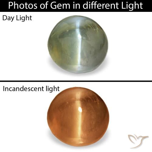 0.60カラットの天然ミディアムグリーンCat's Eye Alexandrite（4.8×4.5 mm・オーバルカット）