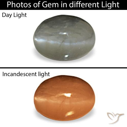 0.72カラットの天然ミディアムグレーCat's Eye Alexandrite（5.5×4 mm・オーバルカット）