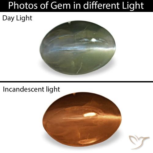 0.38ct グリーン Cat's Eye Alexandrite, 楕円形, オペーク