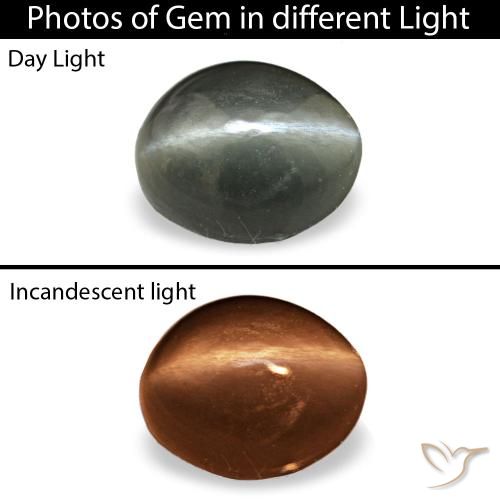 0.34ct グレー Cat's Eye Alexandrite, 楕円形, オペーク