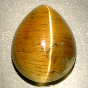 4.94カラットの天然ハニーCat's Eye Apatite（11.1×9 mm・透明）