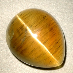 4.94カラットの天然ハニーCat's Eye Apatite（11.1×9 mm・透明）