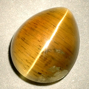 4.94カラットの天然ハニーCat's Eye Apatite（11.1×9 mm・透明）
