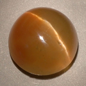 3.62カラットの天然ハニーCat's Eye Apatite（8.80 mm・透明）