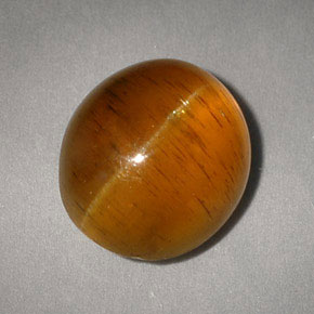 5.05カラットの天然ハニーCat's Eye Apatite（10.4×9 mm・透明）