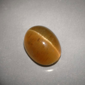 3.94カラットの天然ハニーCat's Eye Apatite（9.8×7.4 mm・透明）