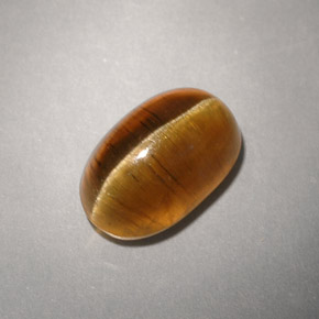 4.93カラットの天然ハニーCat's Eye Apatite（10.8×7.2 mm・透明）
