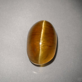 4.93カラットの天然ハニーCat's Eye Apatite（10.8×7.2 mm・透明）