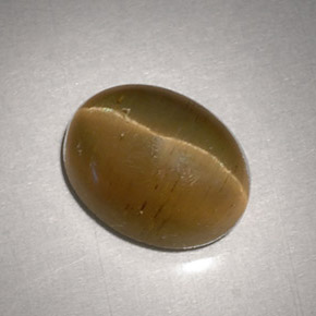 3.11カラットの天然緑がかったゴールドCat's Eye Apatite（9.2×7.1 mm・オーバルカット）