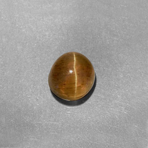 1.61カラットの天然ハニーCat's Eye Apatite（6.2×5.7 mm・オーバルカット）