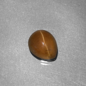 1.46カラットの天然ハニーCat's Eye Apatite（7.3×6 mm・洋梨の形）