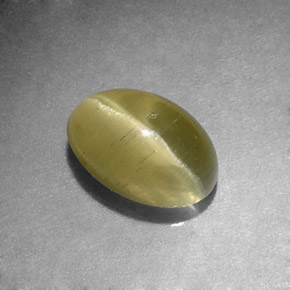 1.31カラットの天然イエローグリーンCat's Eye Apatite（7.2×4.9 mm・オーバルカット）
