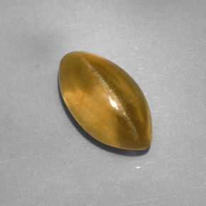 2.59カラットの天然緑がかったゴールドアパタイトキャッツアイ、透明、透明/半透明