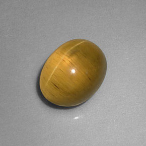 1.77カラットの天然ゴールドグリーンキャッツアイアパタイト、透明、透明/半透明