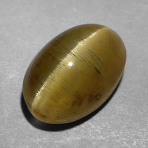 3.47カラットの天然ゴールドグリーンキャッツアイアパタイト、透明、透明/半透明