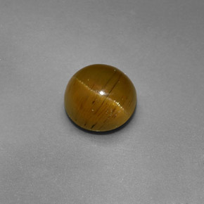 1.47カラットの天然ゴールデングリーンCat's Eye Apatite（6.46 mm・ラウンドカット）